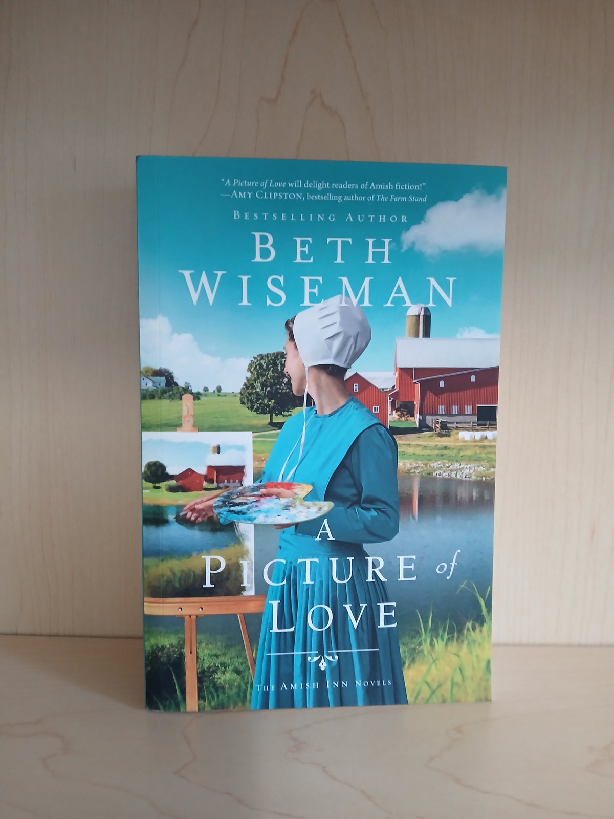 A Picture of Love (Amish Romance Novel)