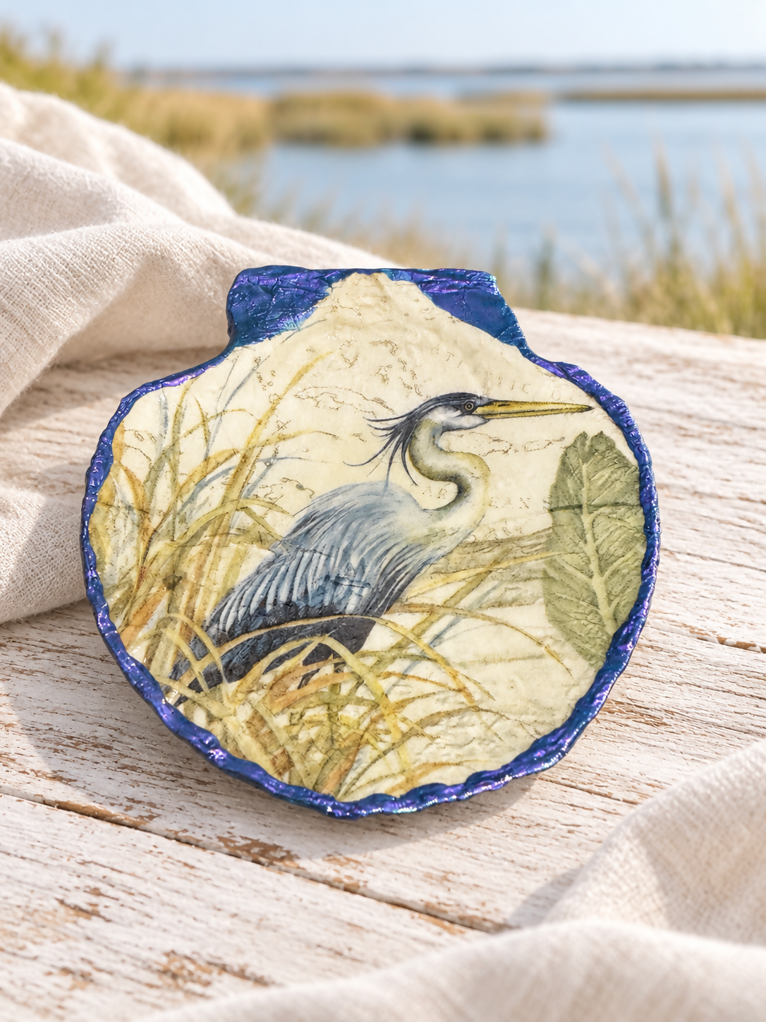 Shell Blue Egret
