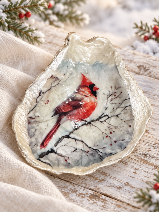 Shell Red Cardinal