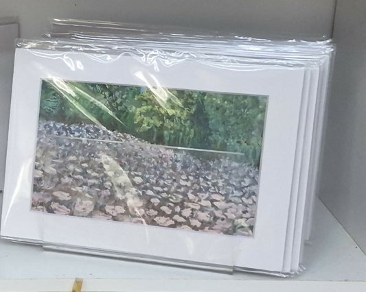 Matted Prints