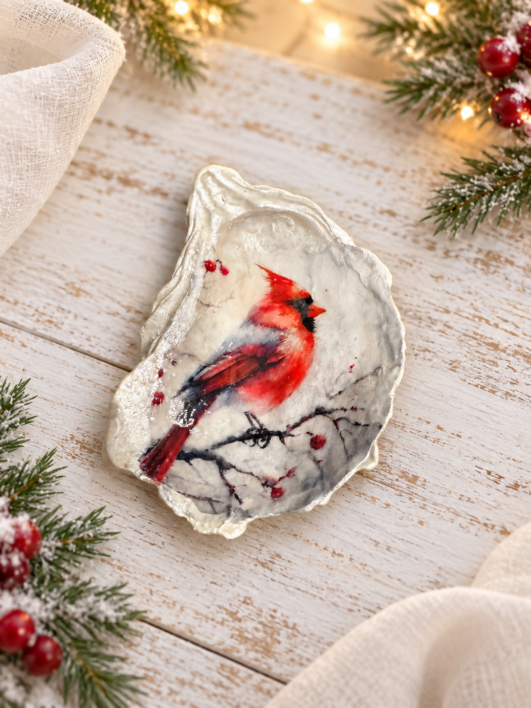 Shell Cardinal