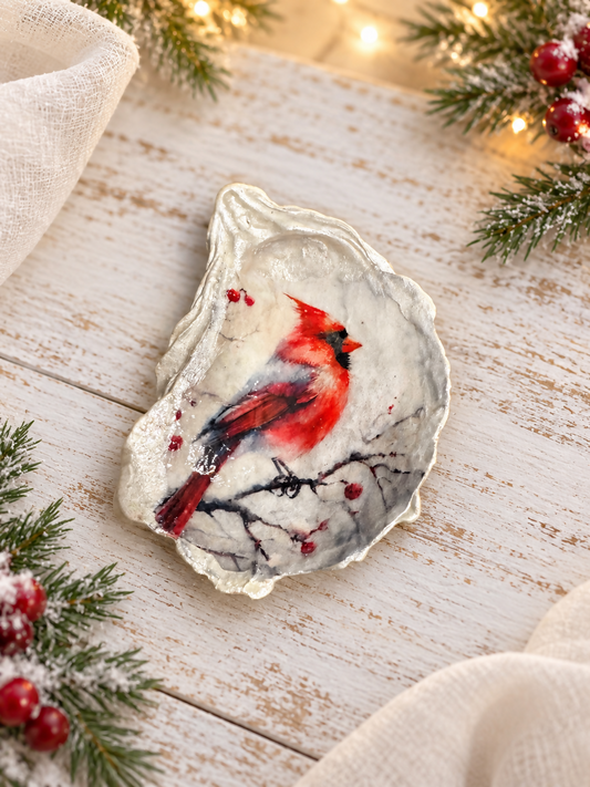 Shell Cardinal