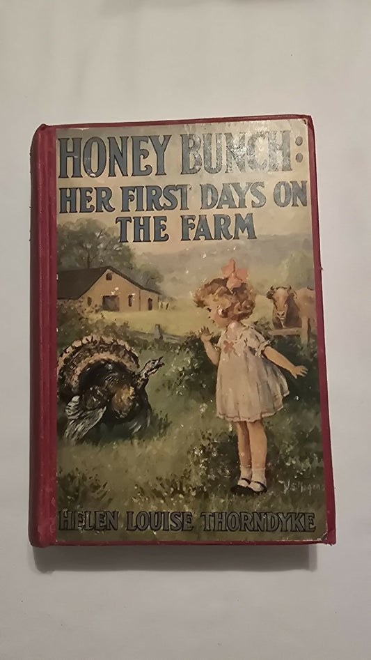 Antique HoneyBunch Classic 1920s-1930s Girls Series Book